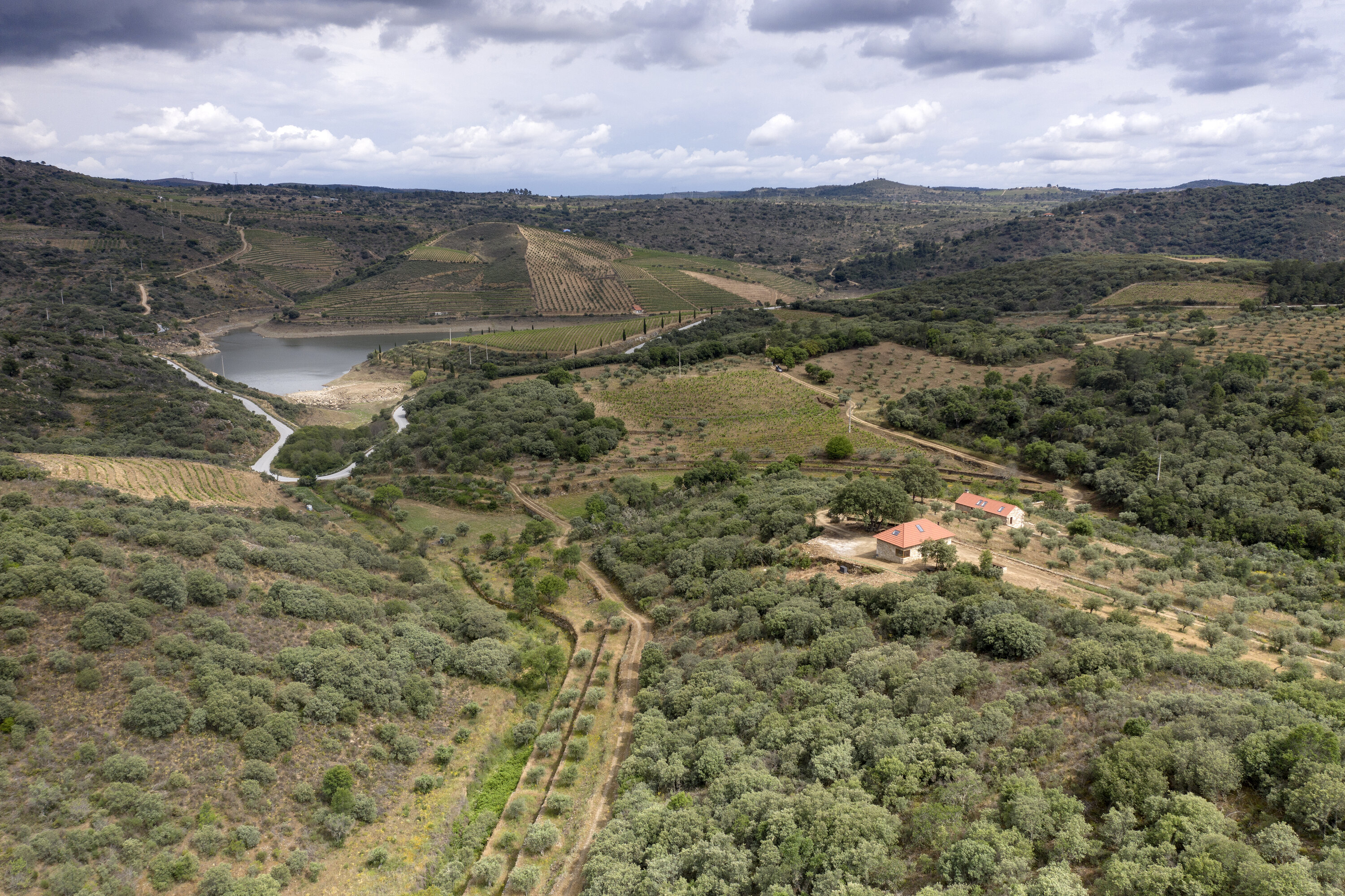 Quinta da Vineadouro - Family Vineyards & Wine Hotel